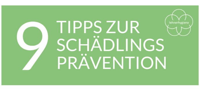 Vorschaubild 9 Tipps zur Schädlingsprävention